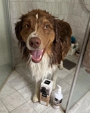 Customer review image