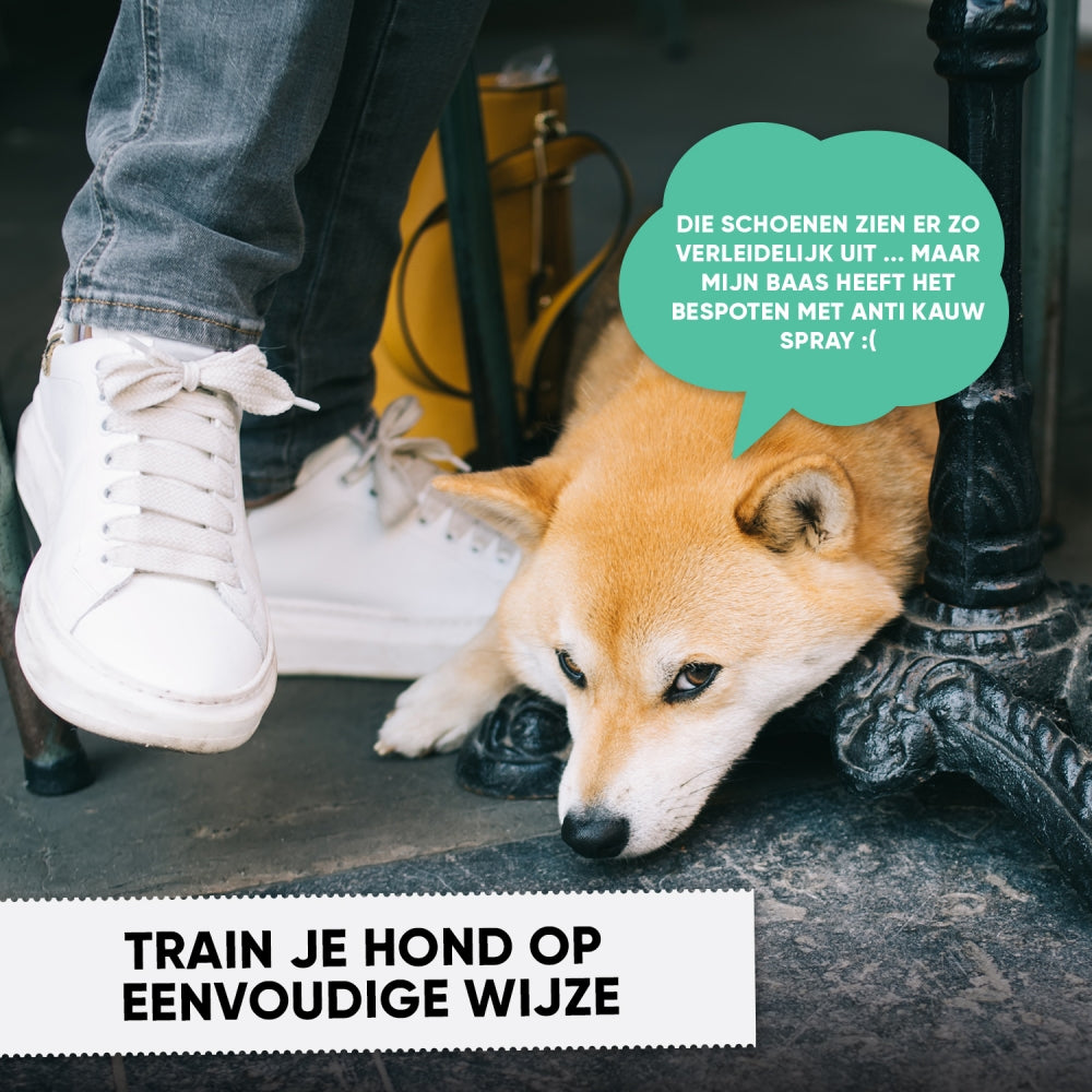 animigo-nl-anti-chew-spray-06