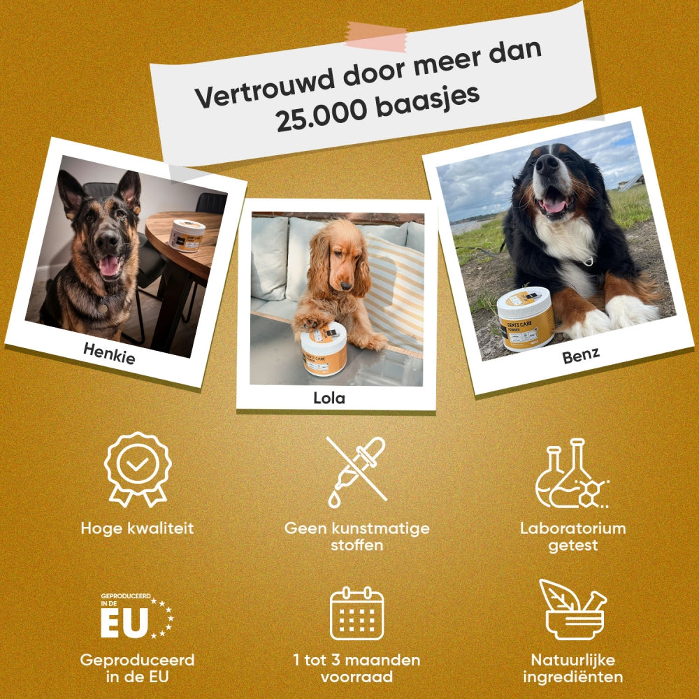 animigo-nl-anti-denti-care-powder-animigo-nl-04