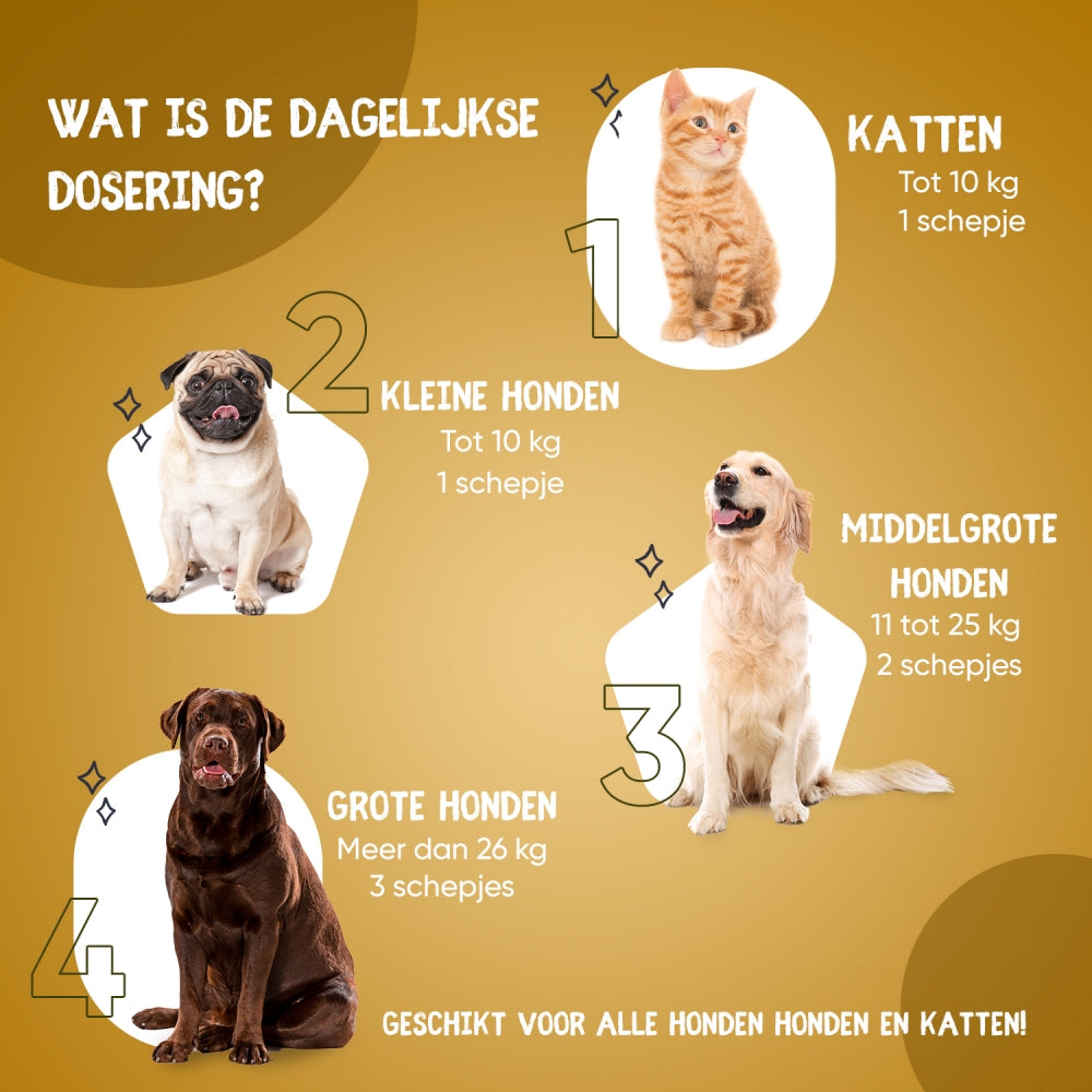 animigo-nl-anti-denti-care-powder-animigo-nl-05