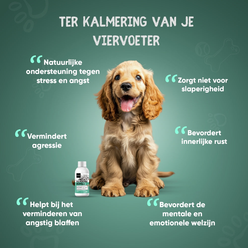 animigo-nl-calming-drop-100ml-02