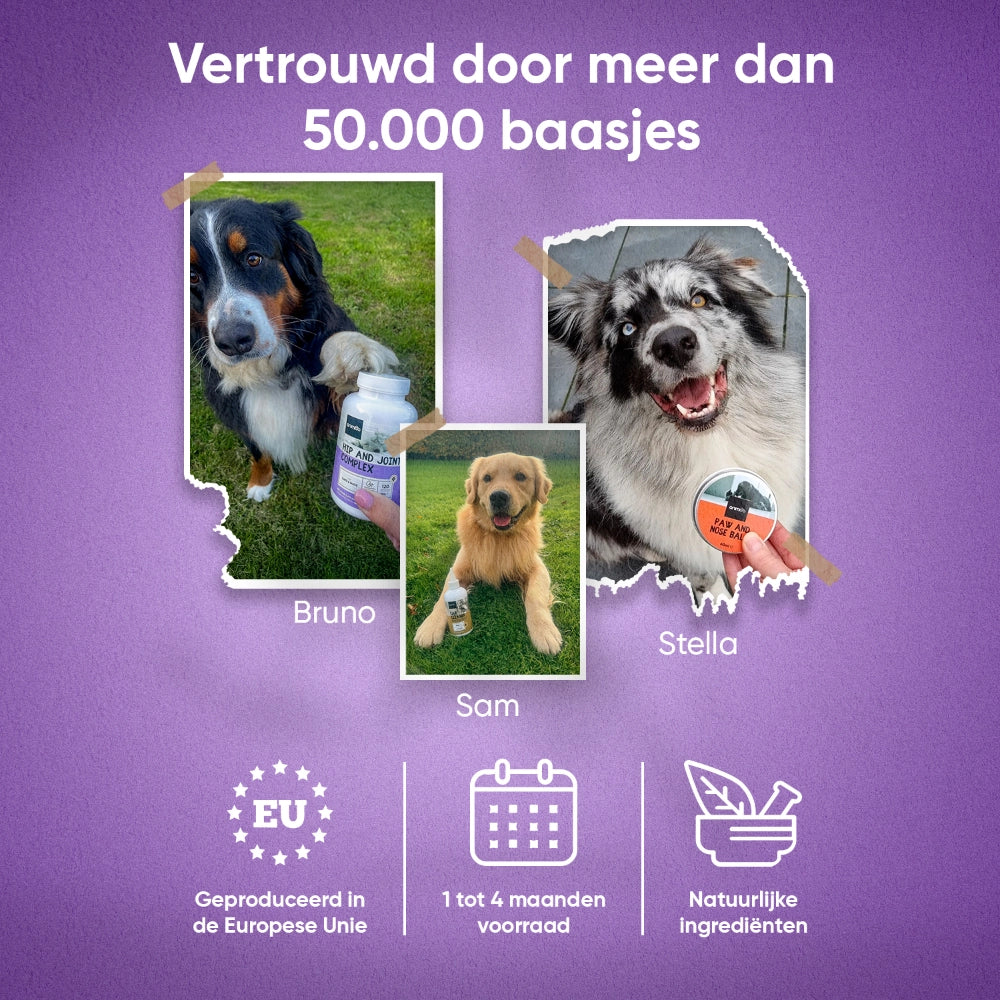 animigo-nl-hip-and-joints-tabs-04