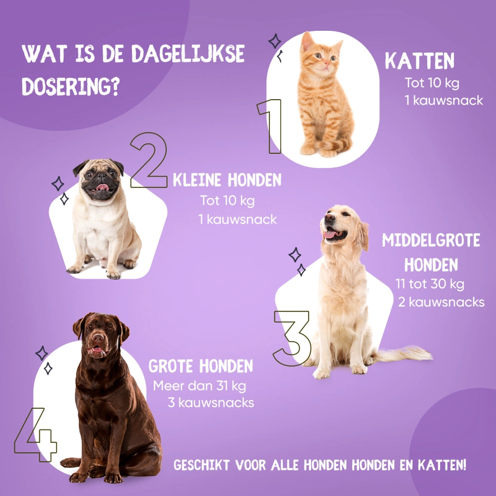 animigo-nl-hip-and-joints-tabs-05