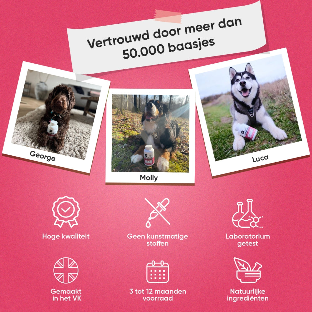 animigo-nl-multivitamin-and-minerals-04