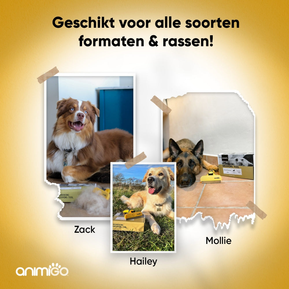 animigo-nl-shedding-grooming-tool-05