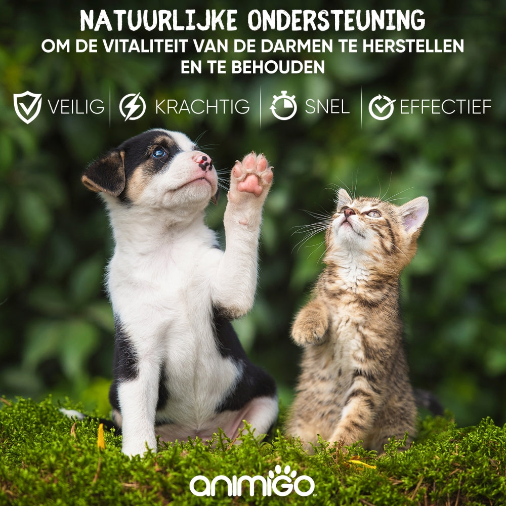 animigo-nl-wormwood-advanced-liquid-02