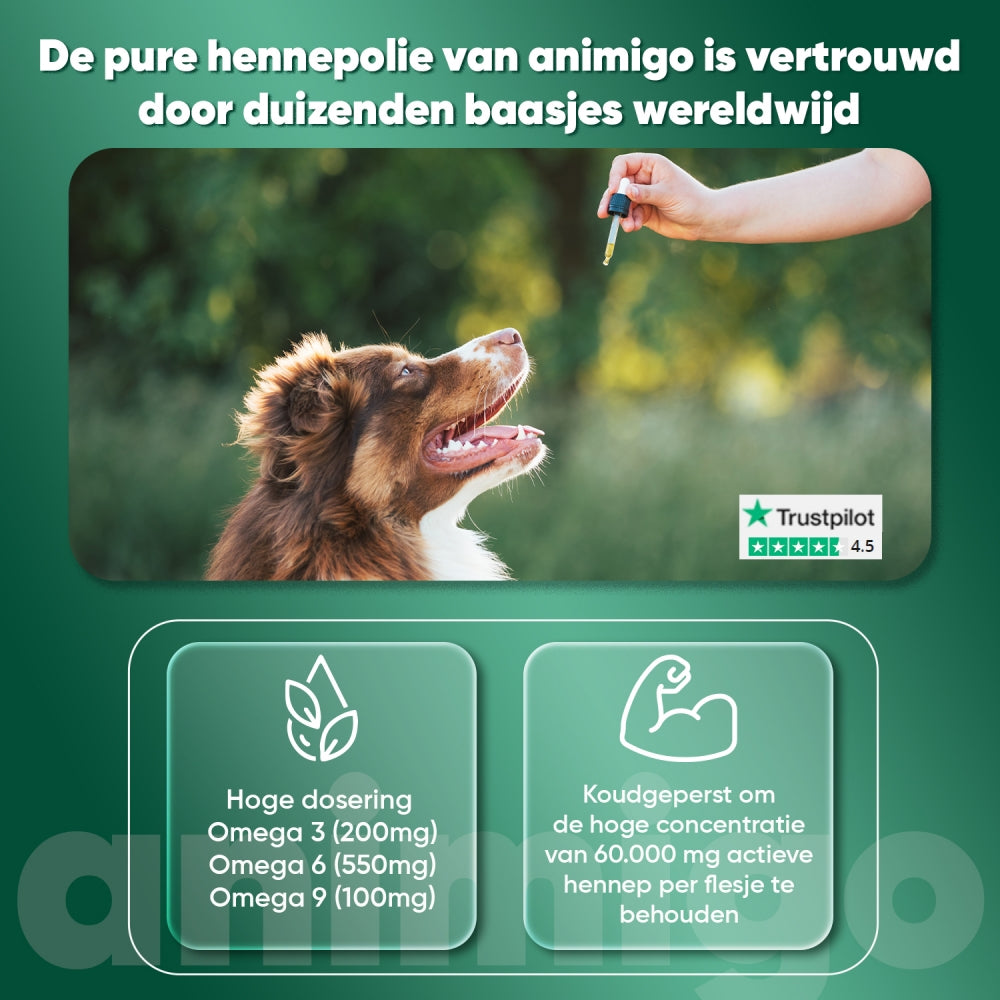 animigo-uk-hemp-oil-60ml-02