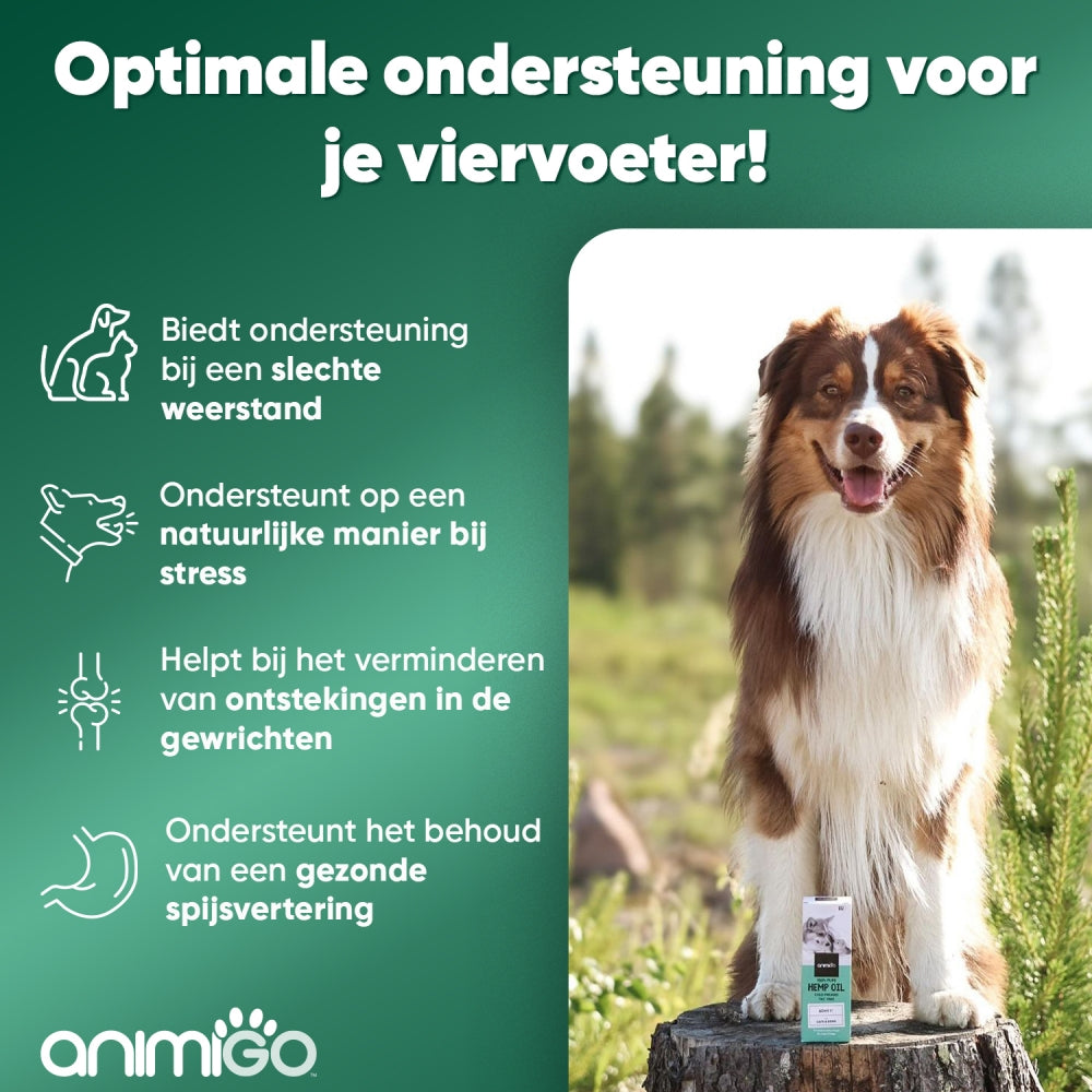 animigo-uk-hemp-oil-60ml-03