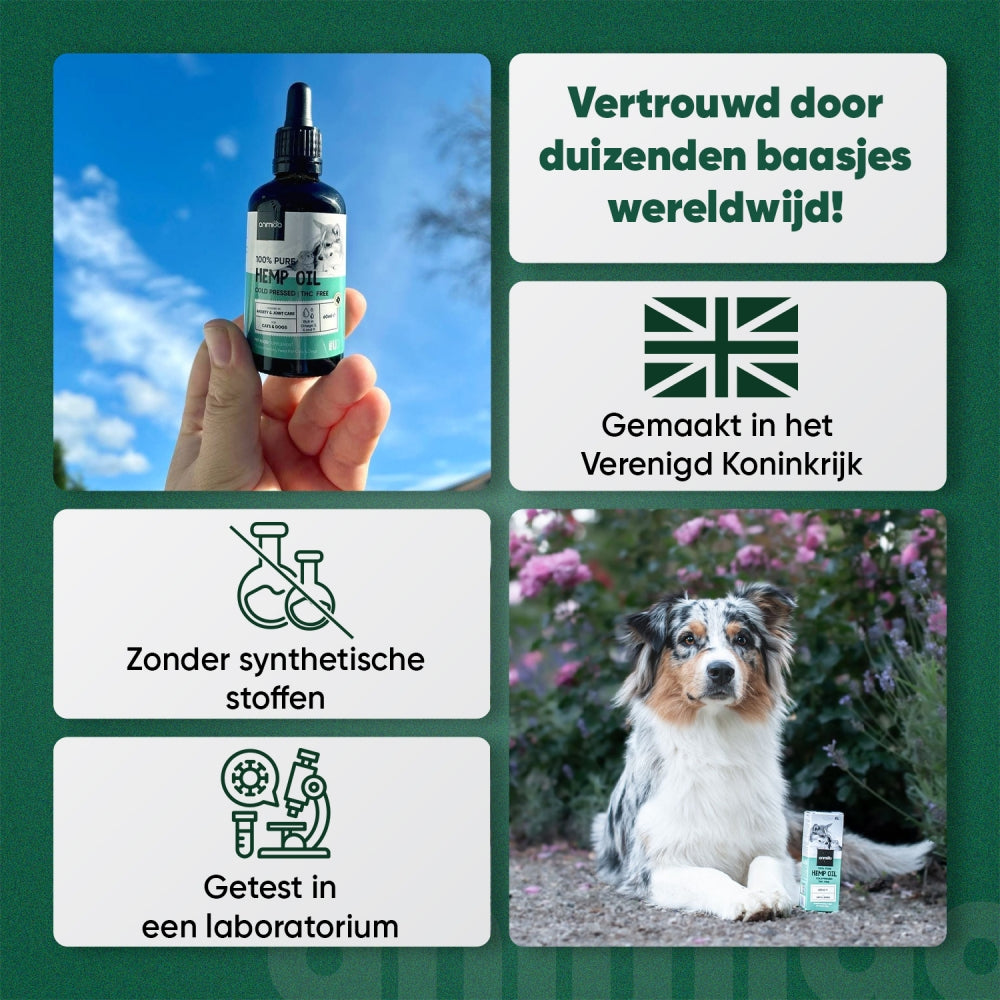 animigo-uk-hemp-oil-60ml-04