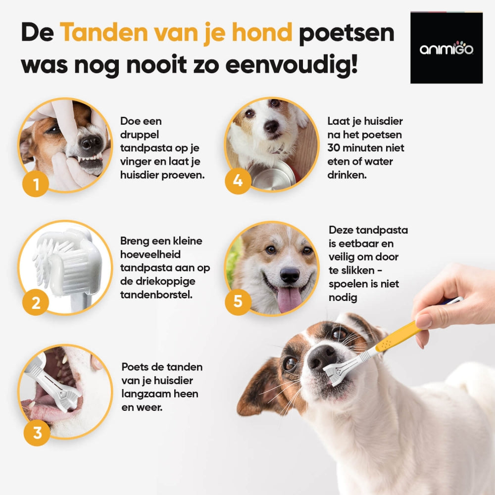 denti-care-kit-nl-06