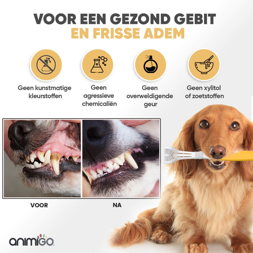 denti-care-kit-nl-08