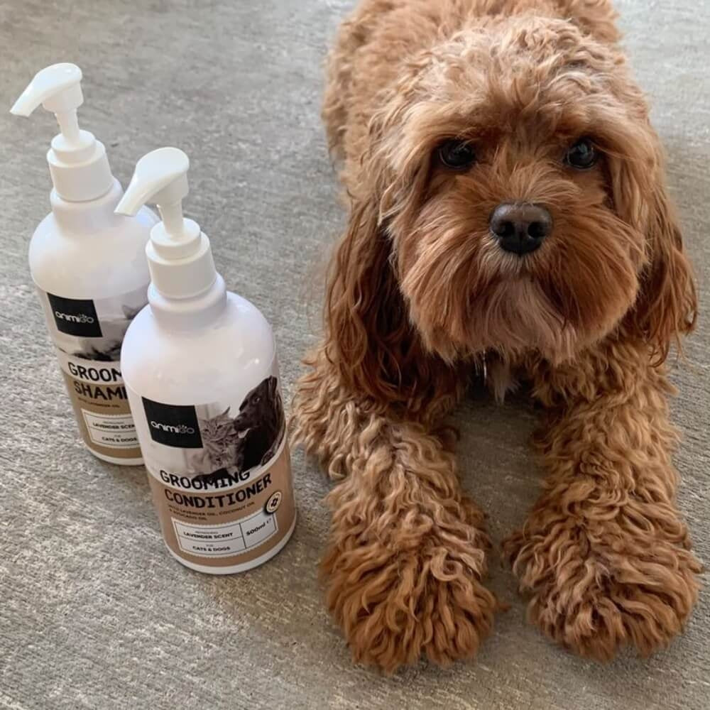 grooming-conditioner-02.jpg