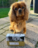 Customer review image