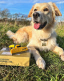 Customer review image