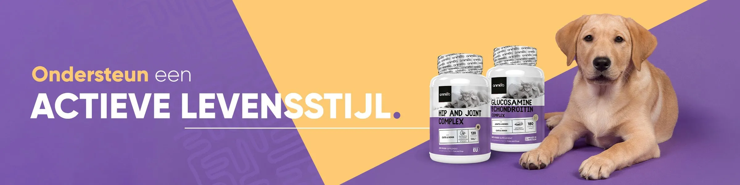 active-levensstijl