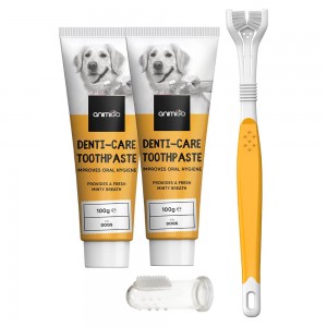 Denti-Care Set