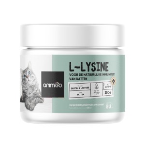L-Lysine poeder