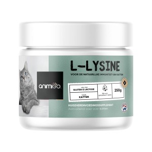 L-Lysine poeder