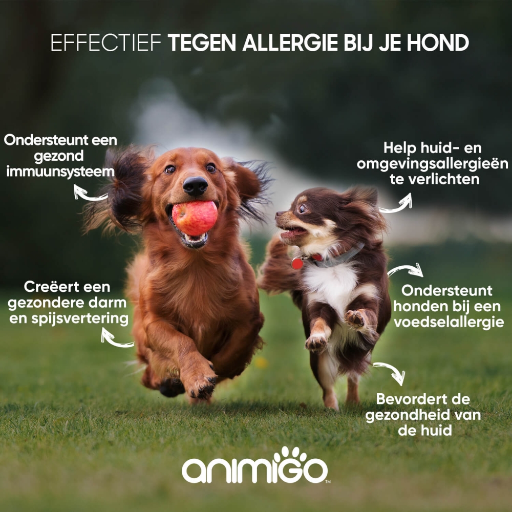 De voordelen van Animigo anti allergie tabletten