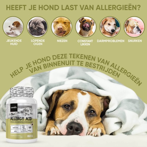 Anti-allergie tabletten voor Allergie bij honden | Animigo