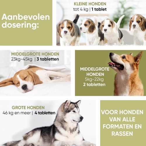 Anti-allergie tabletten voor Allergie bij honden | Animigo