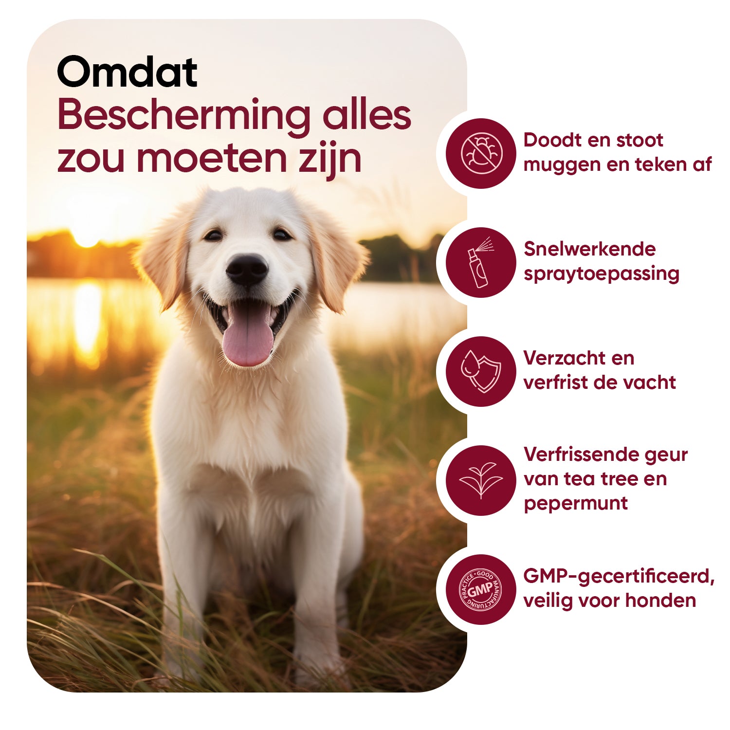 Vlooien- en Tekenwerende spray voor Honden 500ml