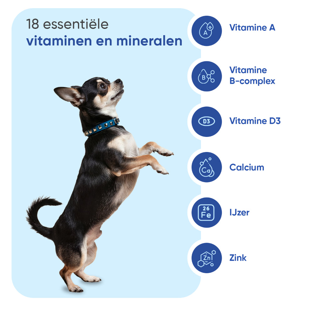 Multivitamine & Mineralen voor honden