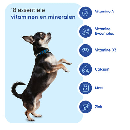 Multivitamine & Mineralen voor honden