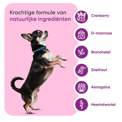 Urinehulp voor honden