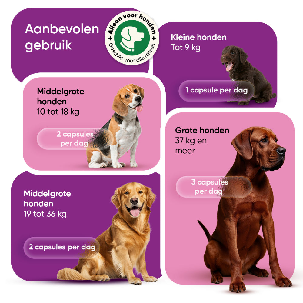 Hond Dragen Draagdoek, Noodrugzak Huisdier Benen Ondersteuning Revalidatie Hond Zwart Lift Harnas Voor Nagel Trimmen Hondendrager Hond Dragen Draagdoek, Noodrugzak Huisdier Benen Ondersteuning Revalidatie Hond Zwart Lift Harnas Voor Nagel Trimmen Hondendrager