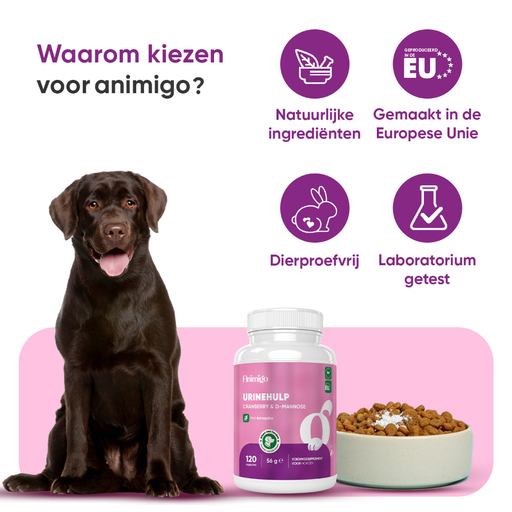 Urinehulp voor honden