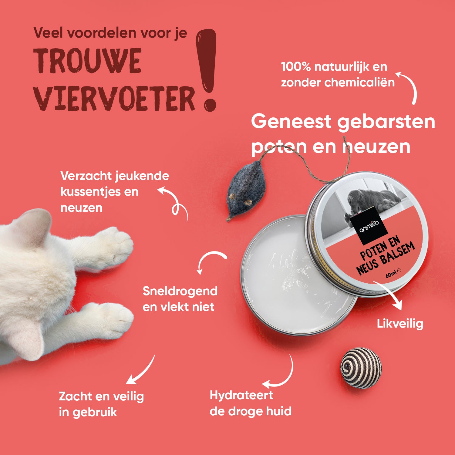 Neus- en potenbalsem voor honden