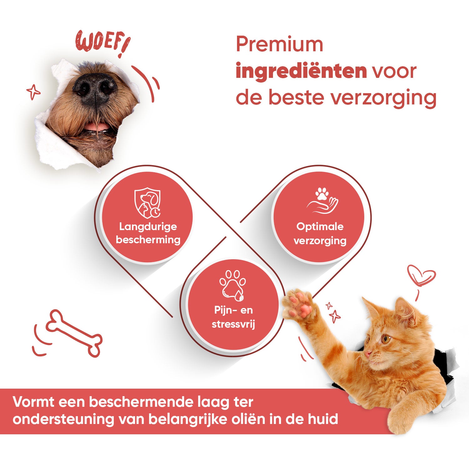 Neus- en potenbalsem voor honden