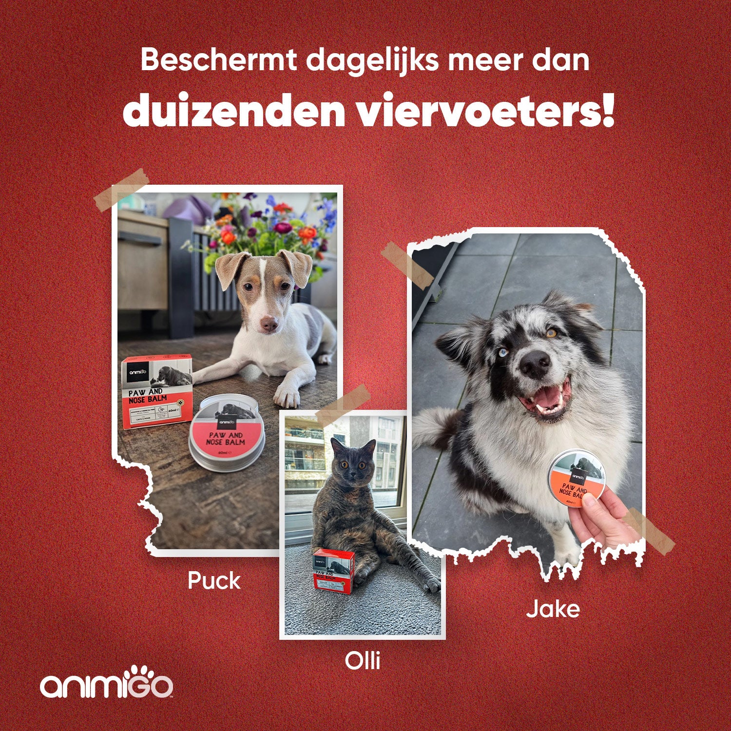 Neus- en potenbalsem voor honden