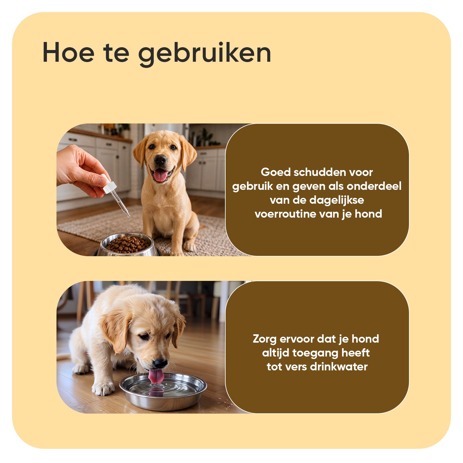 Anti-jeuk druppels voor honden