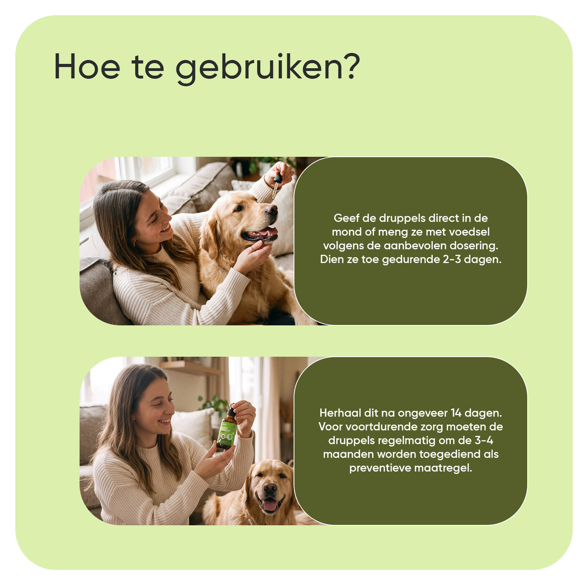 Alsem complex voor honden