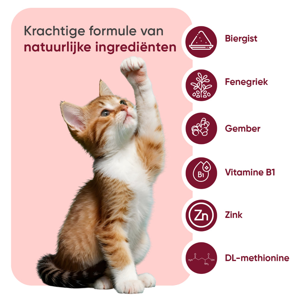Vlooien- en tekenwerend poeder voor katten