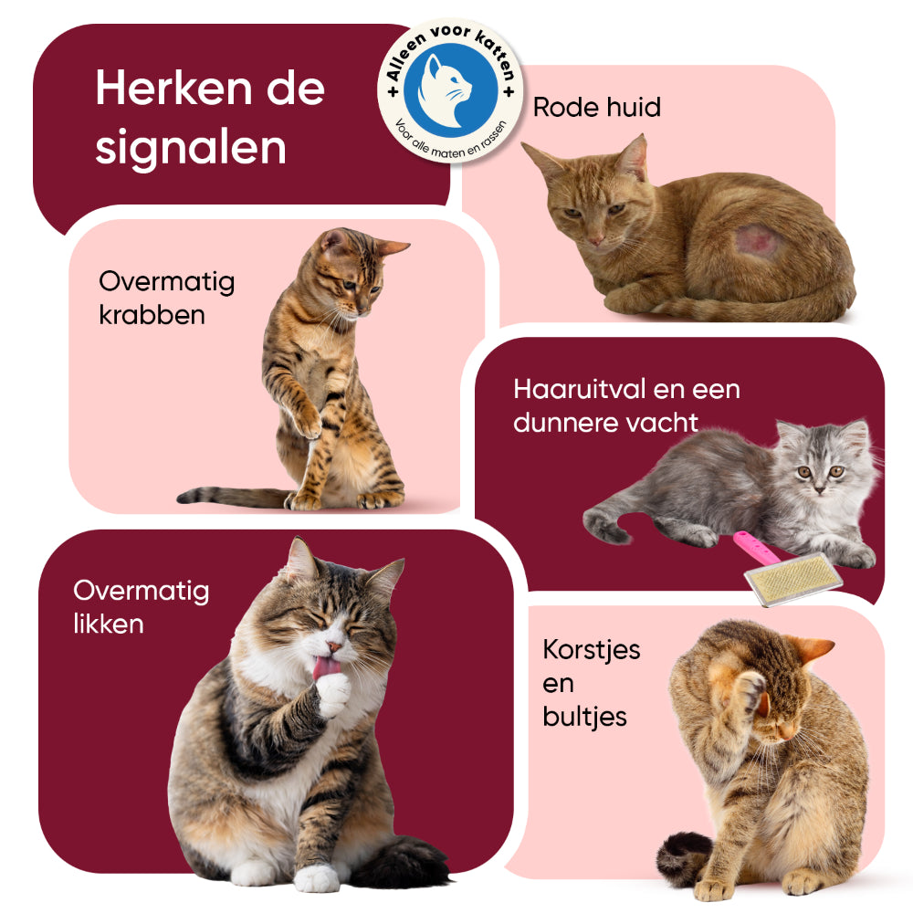 Vlooien- en tekenwerend poeder voor katten
