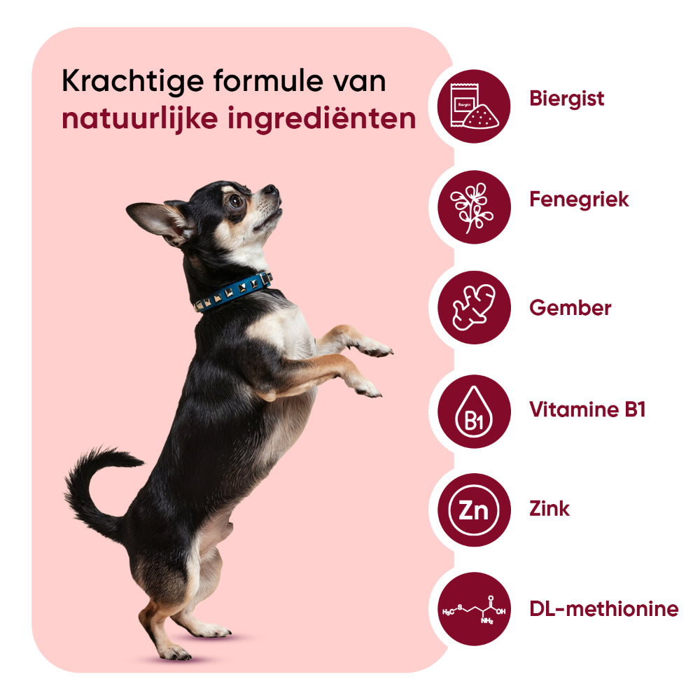 Vlooien- en tekenpoeder voor honden