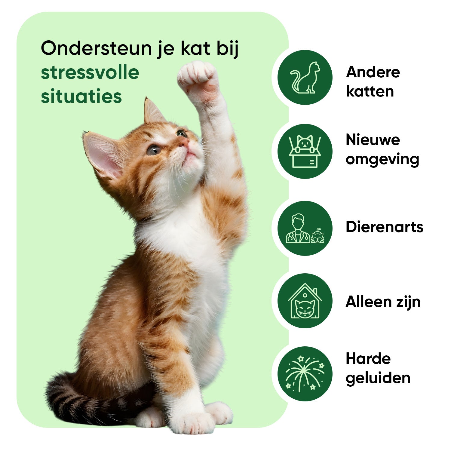 Animigo Kalmerende Druppels voor Katten 100 ml