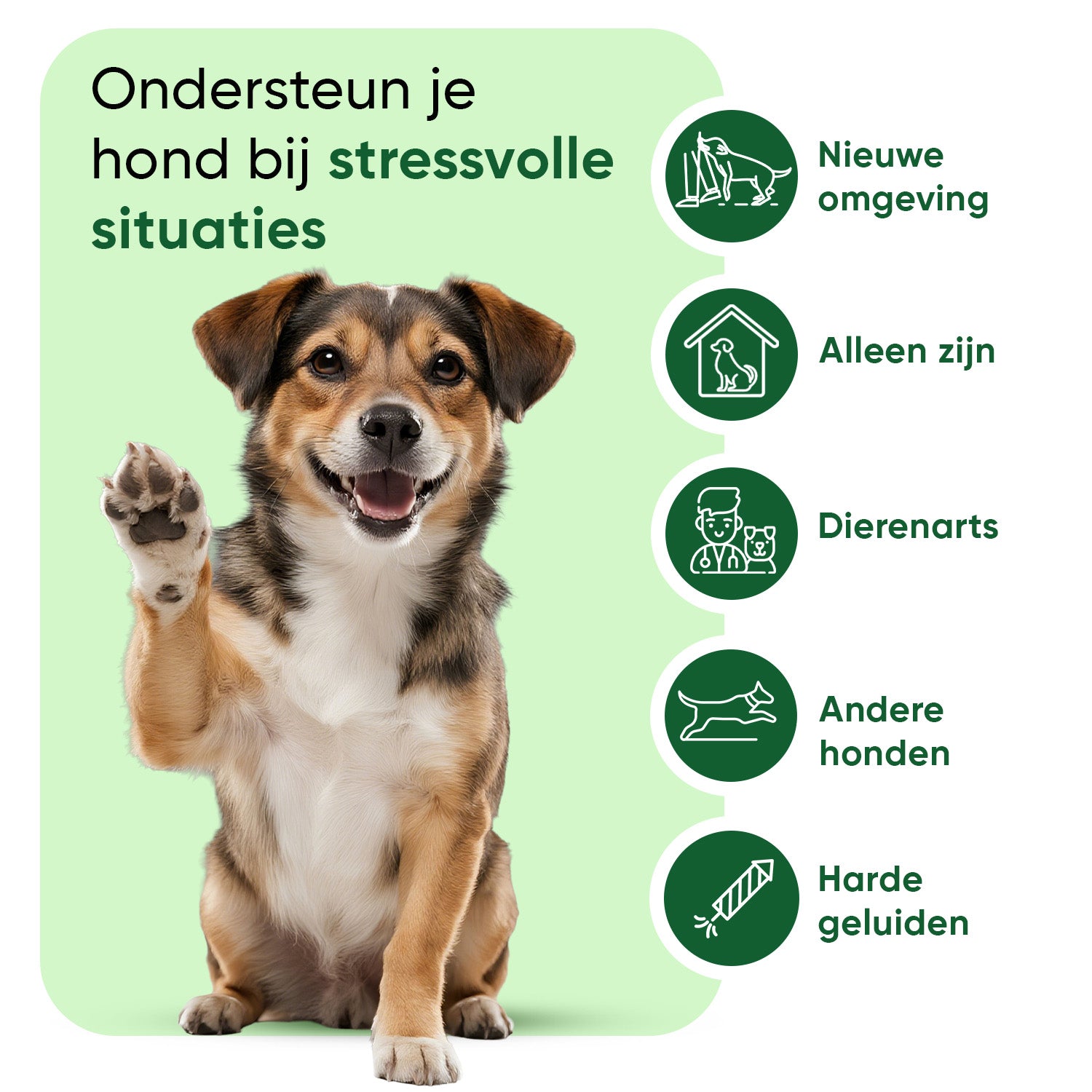 Kalmerende druppels voor honden