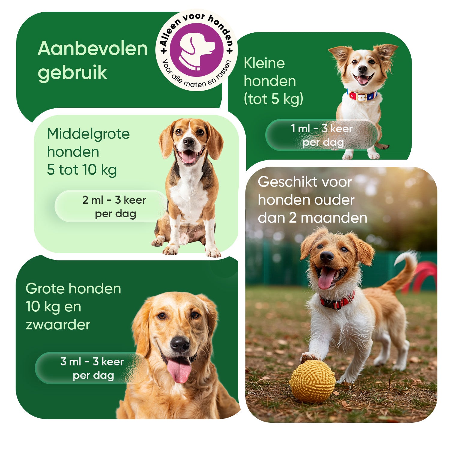 Kalmerende druppels voor honden