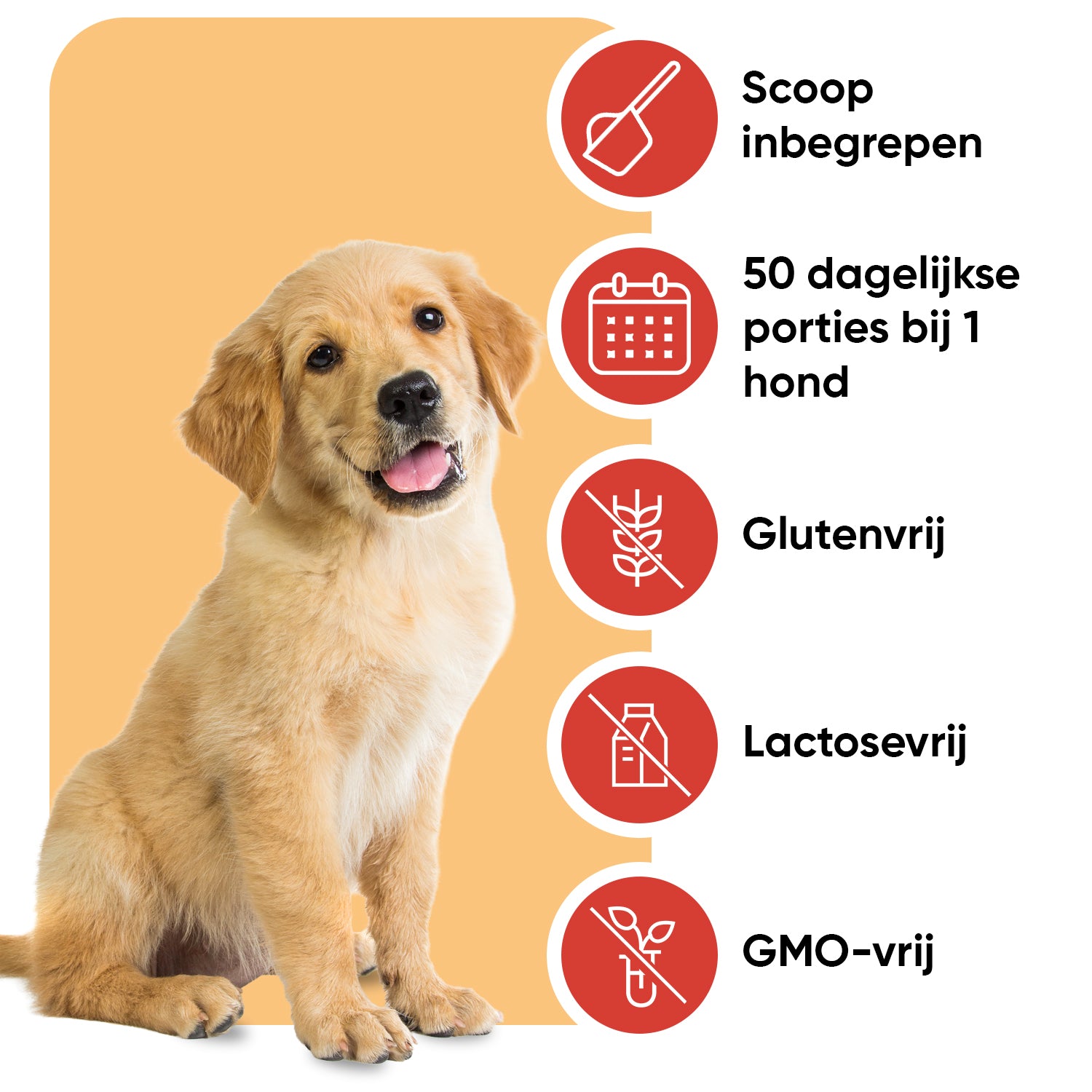 L-lysinepoeder voor honden 250 g