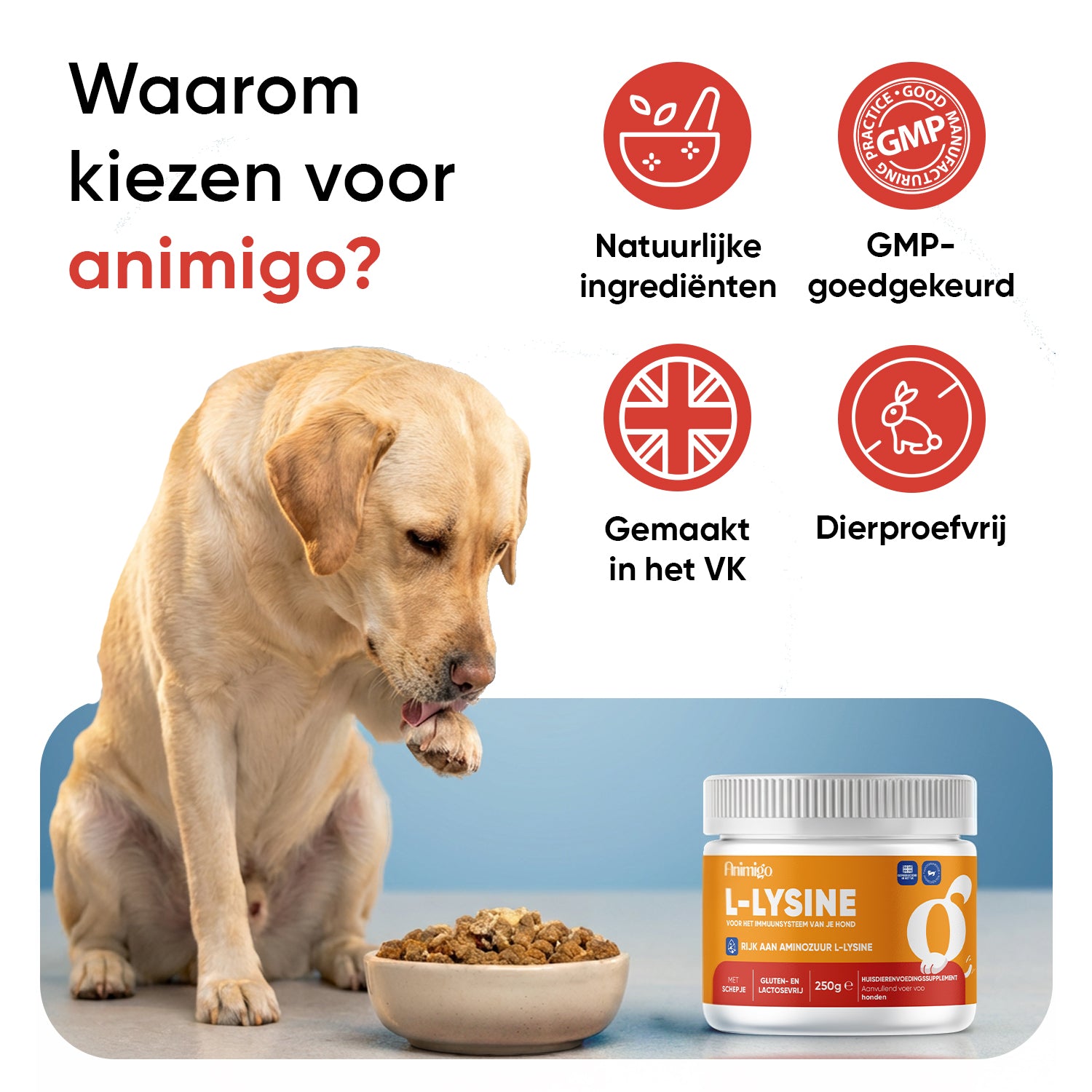 L-lysinepoeder voor honden 250 g