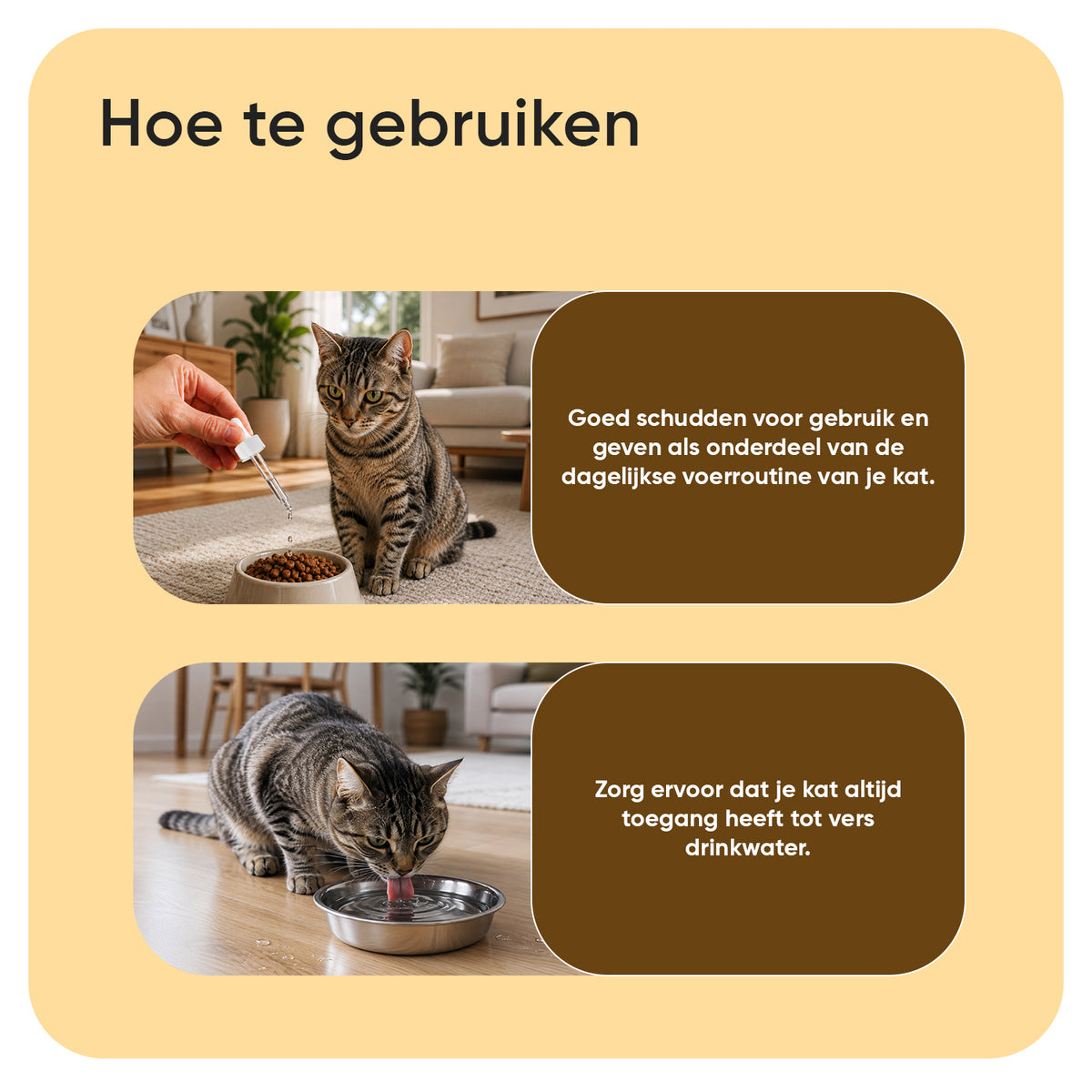 Anti-jeuk druppels voor katten