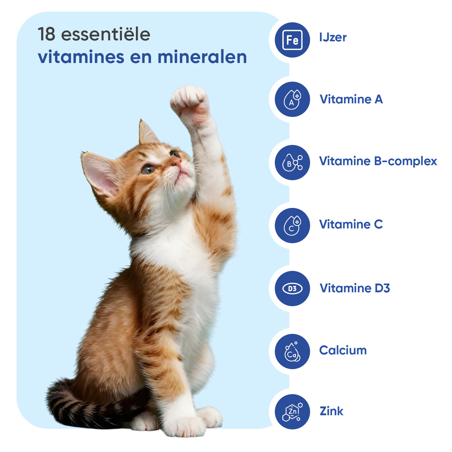 Multivitamine met mineralen voor katten, 120 zachte kauwtabletten