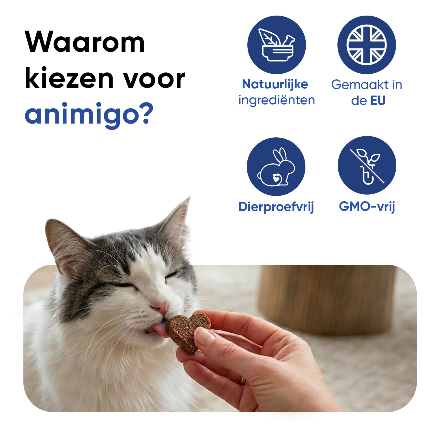 Multivitamine met mineralen voor katten, 120 zachte kauwtabletten