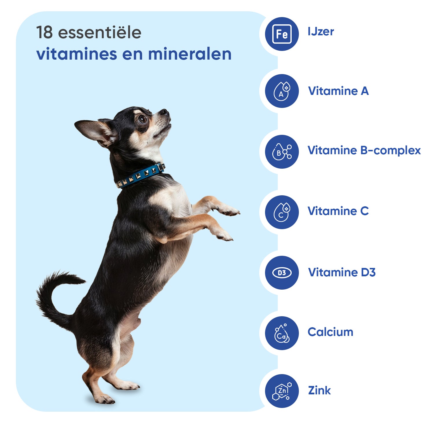 Multivitamine met mineralen voor honden, 120 zachte kauwtabletten