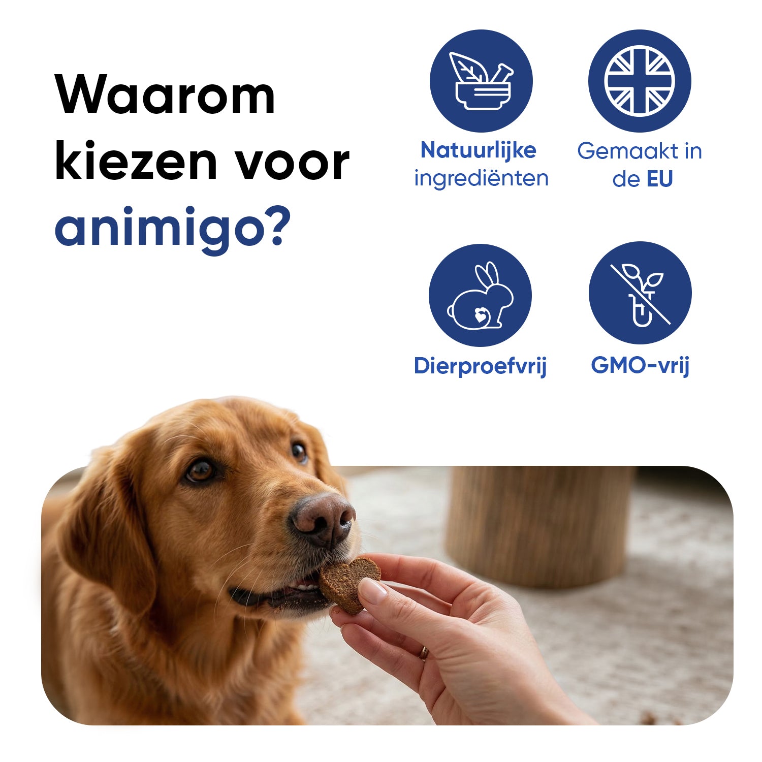 Multivitamine met mineralen voor honden, 120 zachte kauwtabletten