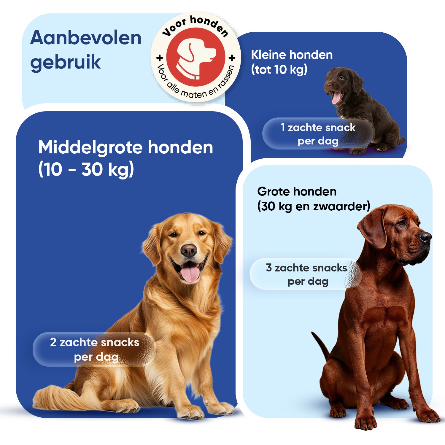 Multivitamine met mineralen voor honden, 120 zachte kauwtabletten